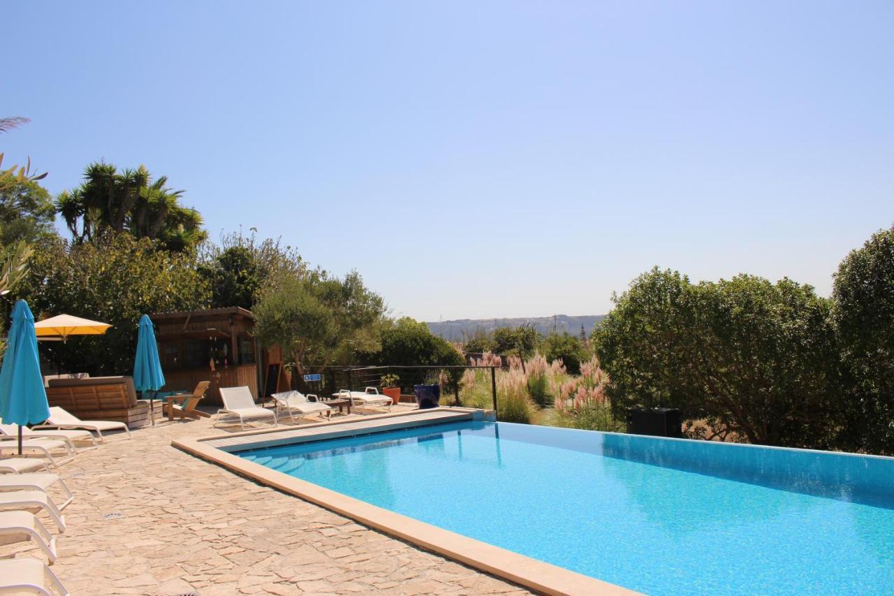 Casa Boavista Villa Сао Мартино до Порто Екстериор снимка