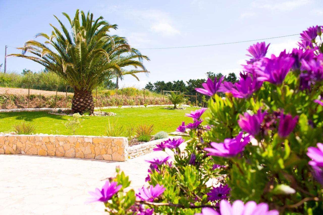 Casa Boavista Villa Сао Мартино до Порто Екстериор снимка