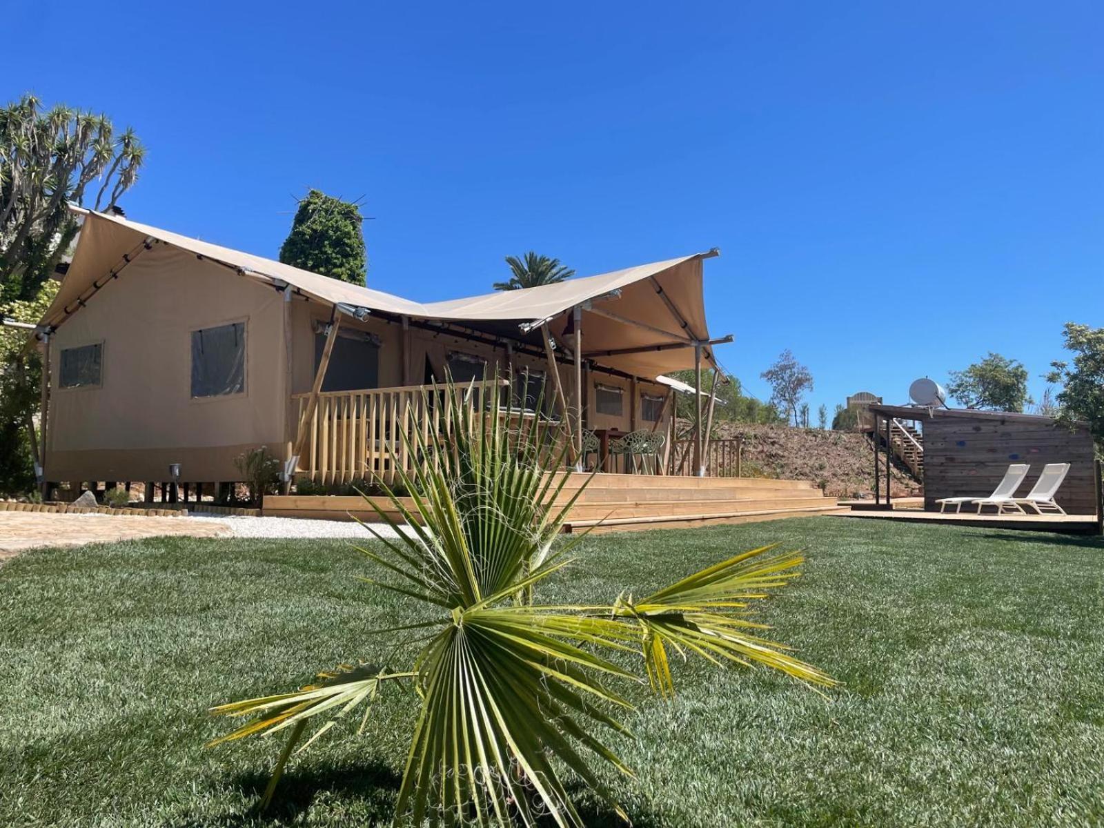 Casa Boavista Villa Сао Мартино до Порто Екстериор снимка